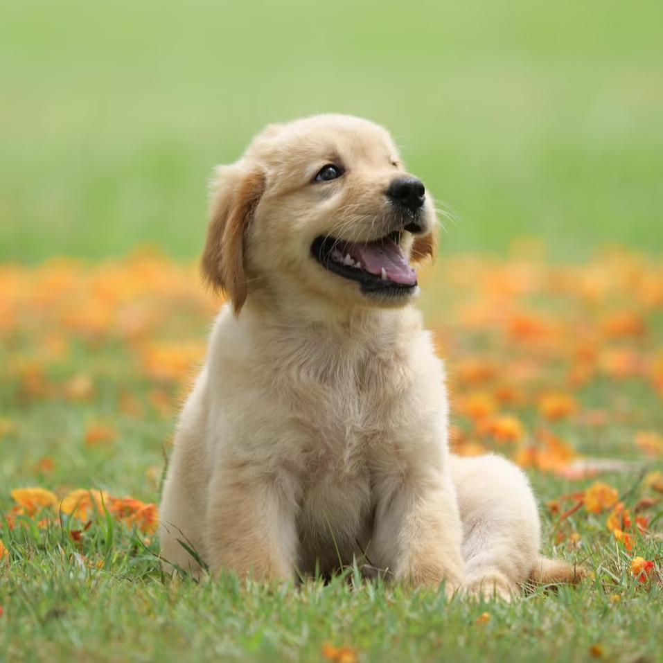 test post